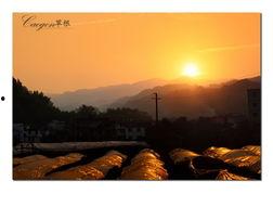 黑料吃瓜网apk普通安装 